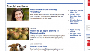 Boston.com screenshot
